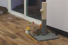 20251225_1837361-scaled