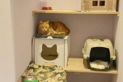 20251228_1827551-scaled