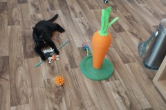 20260111_1633251-scaled