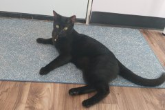 20260113_1506541-scaled