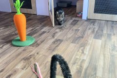 IMG-20251108-WA0007-2