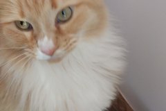 IMG-20251206-WA00451