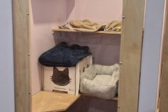 IMG-20251226-WA00941-scaled