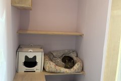 IMG_0088