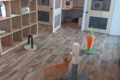 Screenshot_20251208_161346_Gallery1