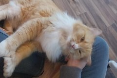 Screenshot_20251208_161458_Gallery1