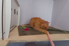 Screenshot_20251208_162910_Gallery1