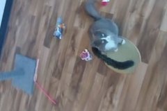 Screenshot_20251213_113225_Gallery1