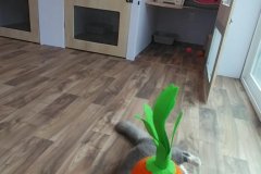 Screenshot_20251216_115921_Gallery1