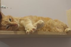 Screenshot_20260113_153823_Gallery1